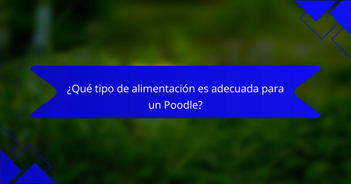 ¿Qué tipo de alimentación es adecuada para un Poodle?