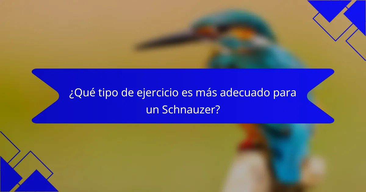 ¿Qué tipo de ejercicio es más adecuado para un Schnauzer?