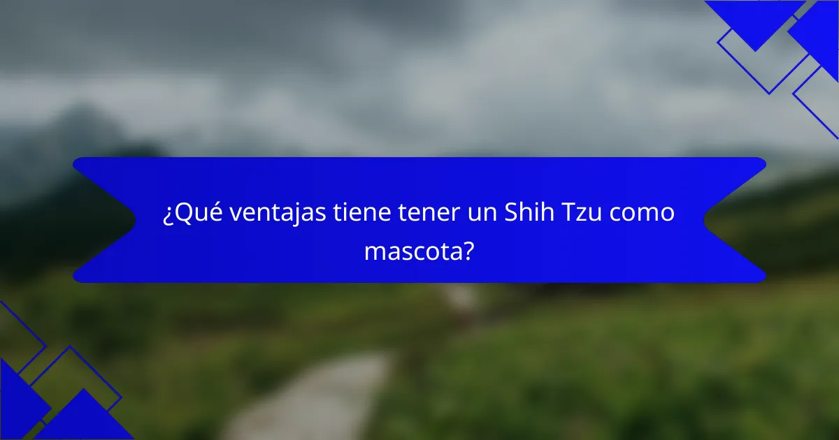 ¿Qué ventajas tiene tener un Shih Tzu como mascota?